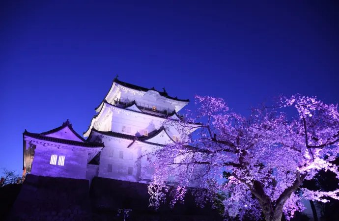 🏯 오다와라 성(오다와라죠) 이미지 11